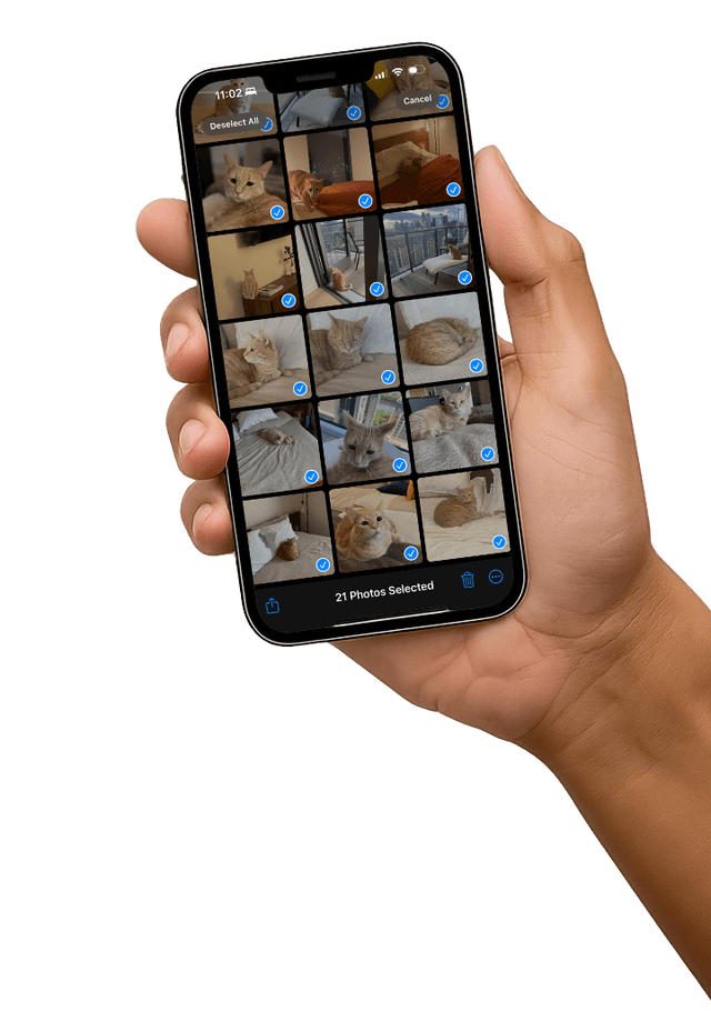 Pawprint studio